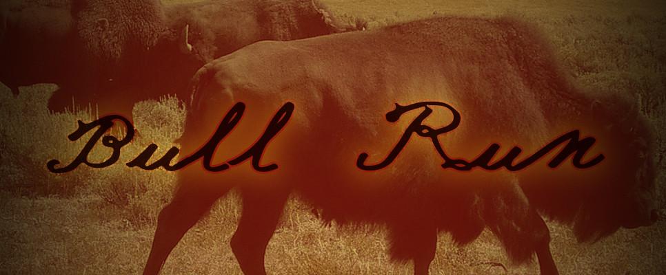 Bull Run antique handwriting font